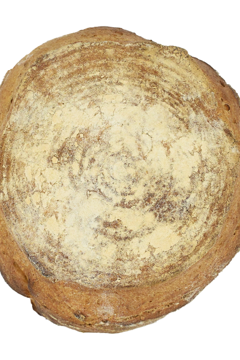 Pane del Contadino Integrale 100% Biologico