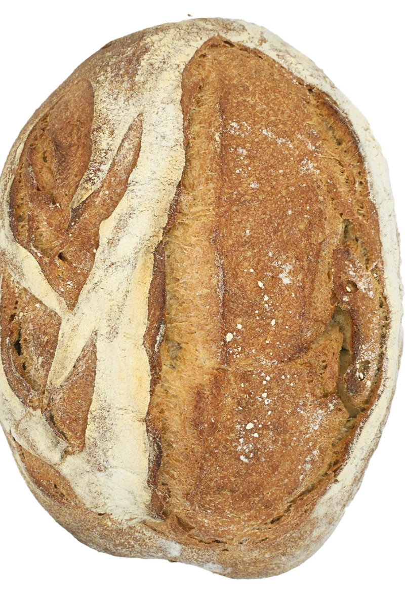 Pane etrusco biologico