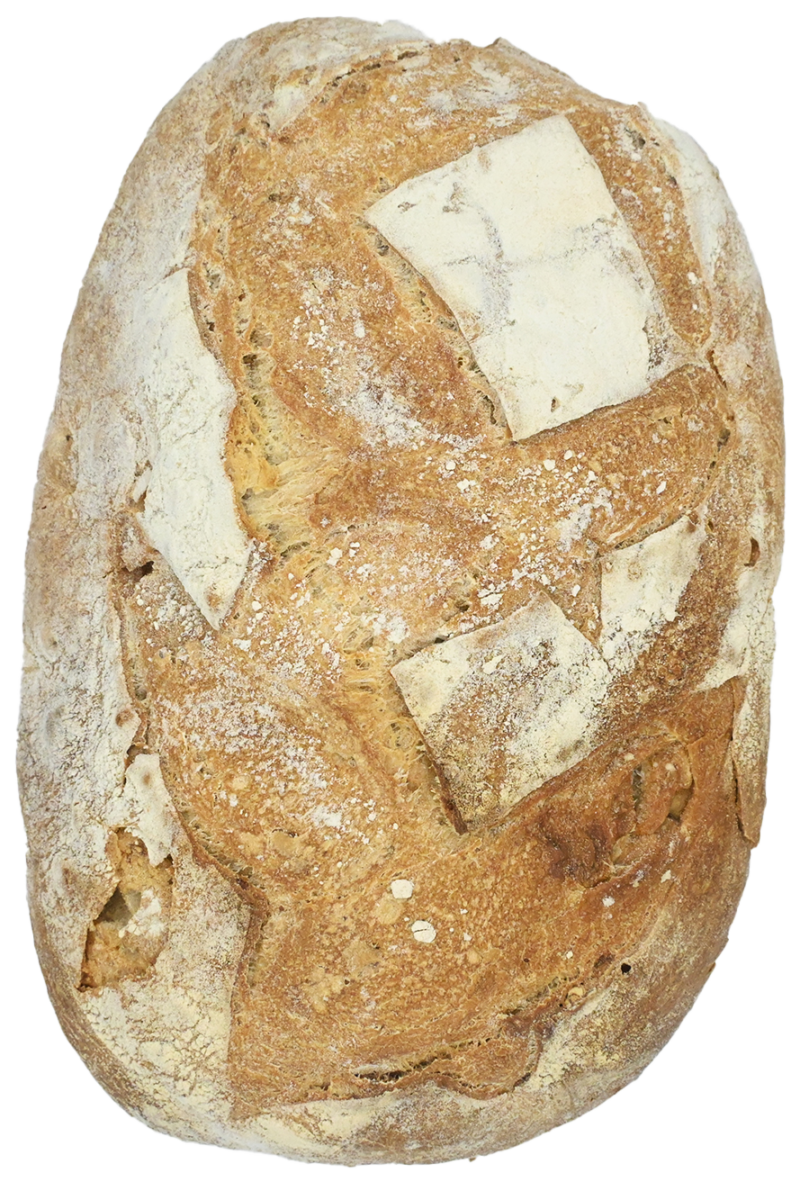 Pane biologico di farro